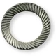 Schnorr A2 M 24 (25,0x36,0x1,80)